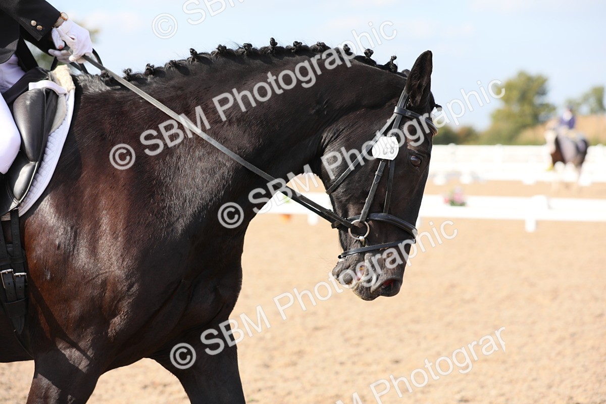 SBM_07875 - Class 33 Elementary 1
