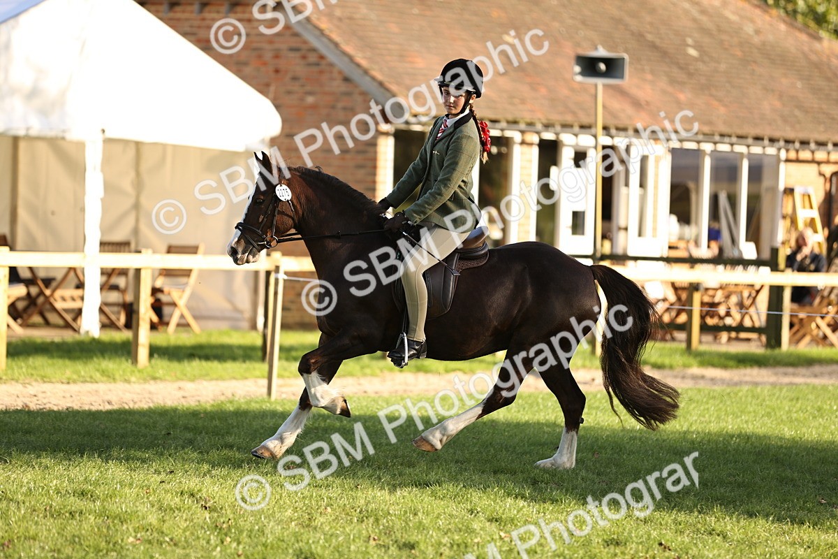 SBM_29603 - S7 - Novice & Newcomers Ridden Pony