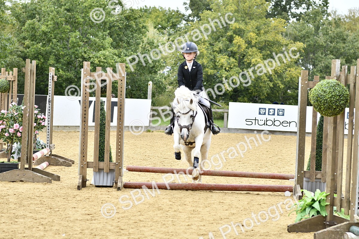 SBM_65404 - J2a mini Tour Junior Pony 30cm Championship