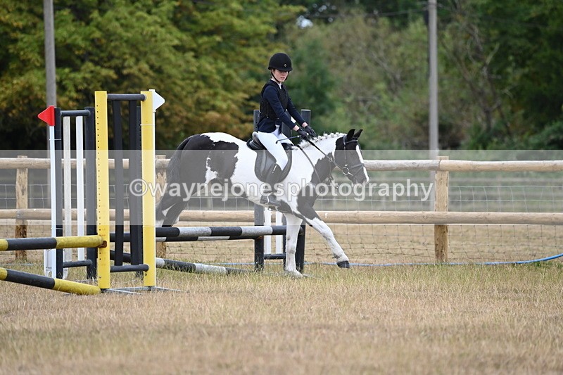 WJ6_0308 - Class 13 Novice Jumping 60cm