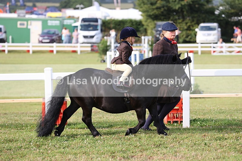JPP_0290 - Class 14: Cornish Combination Leading Rein