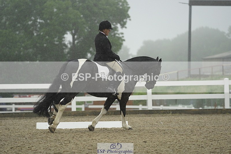 230708A-151128-04009 - Prelim 18