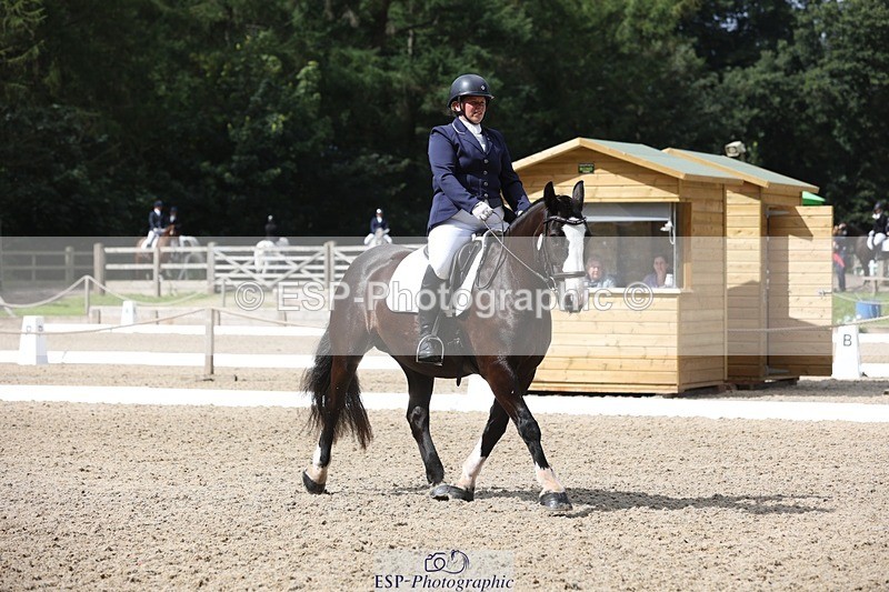 230812-111816-03726 - Cls 5 Novice Bronze 11.15 to 12.50 break
