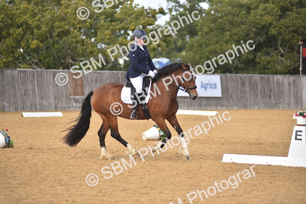 SBM_10069 - D15 - Small Tour Championship Novice 1