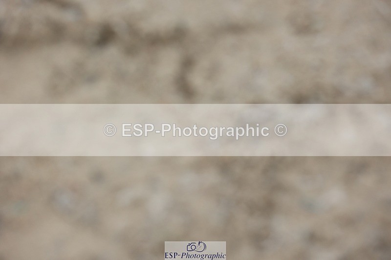 230618-190547-14468 - Cls 22 Hoys 138cm Jump offs