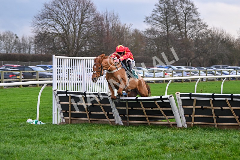 171224-Race 4-Wise Eagle-3312