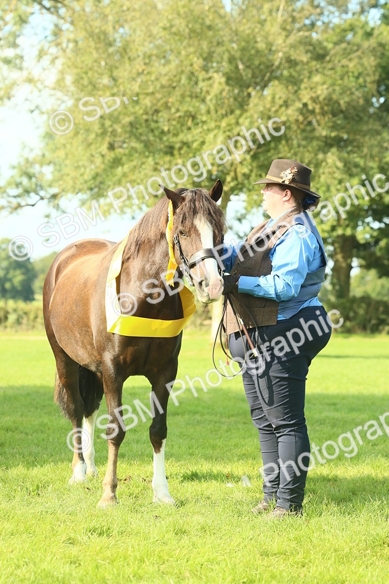 SBM_61098 - Starter Supreme Championship