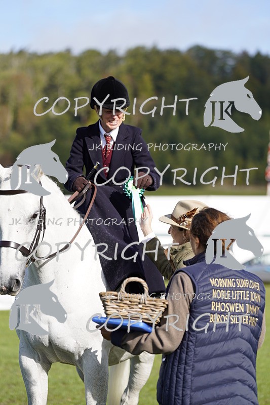 _DSC9590 - Class 8 & 17 Ridden Hunter & Ridden Hunter Pony