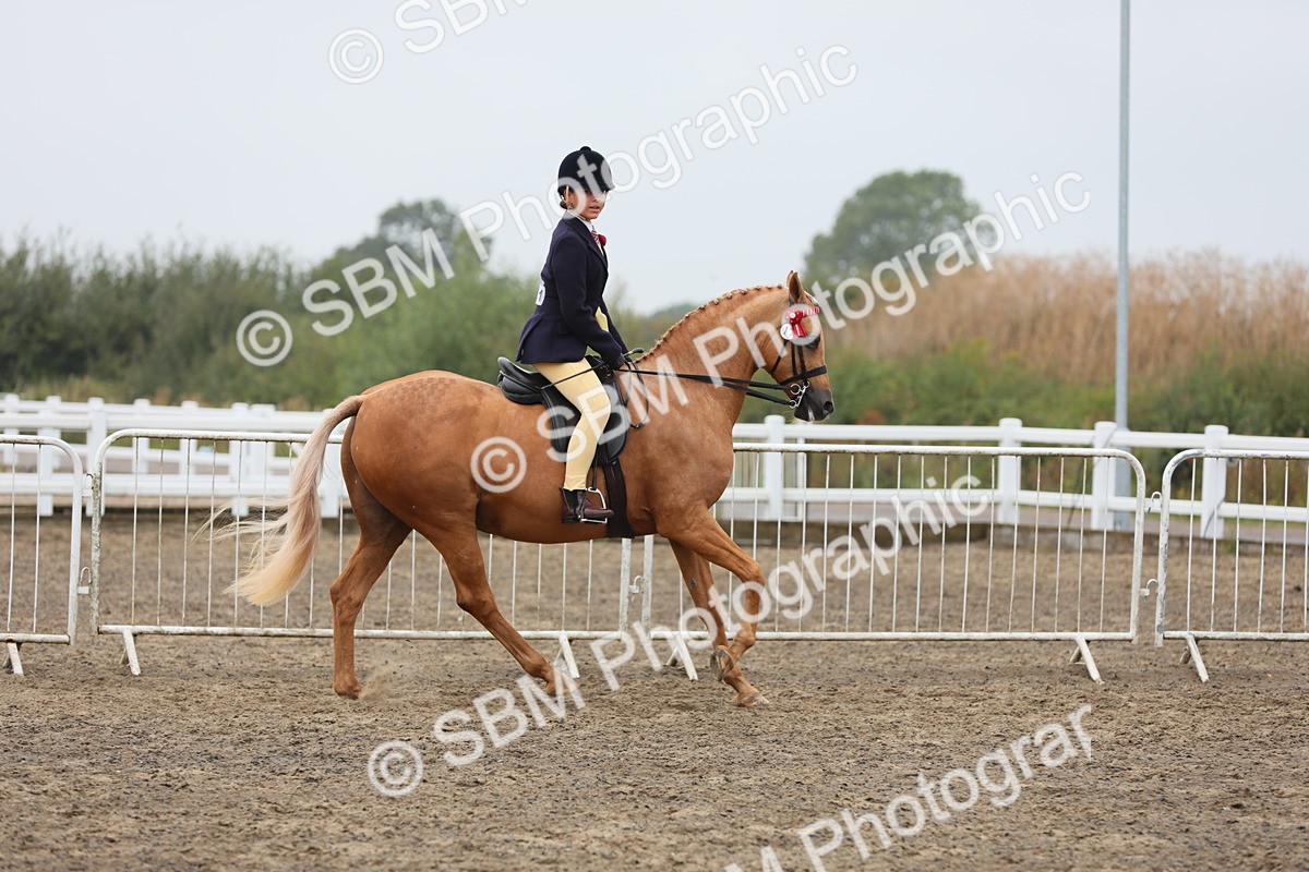 SBM_22303 - Class 807 - Young Rider 11 to 16 Yrs