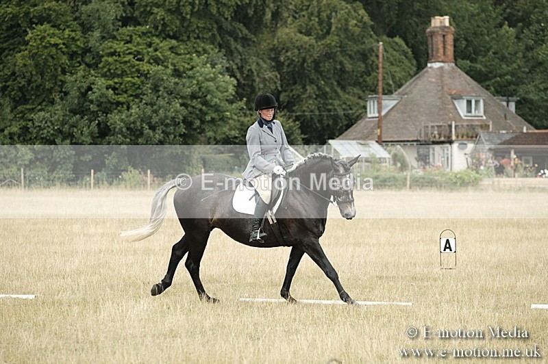 _PJP5758 - Dressage Classes BVRC Show 2018