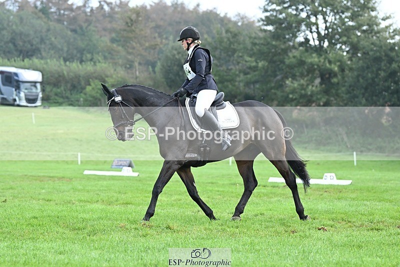 231020-094417-05748 - 464-IMPERIAL.TANGLE-Deborah.Burrell-DR