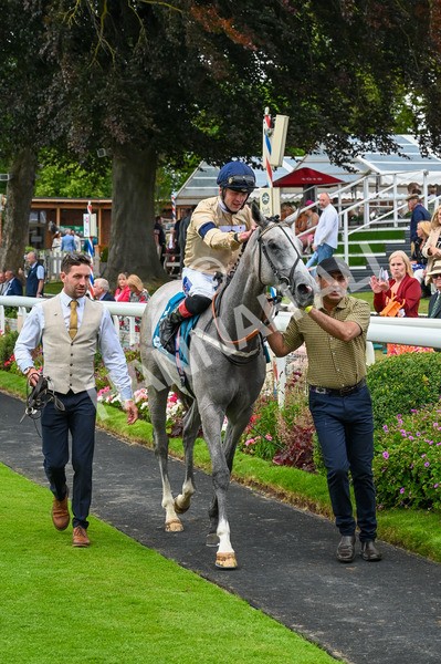 270724-Race 4-Greydreambeliever-9615 - Race 4 4.00pm Sky Bet Club EBF Fillies' Novice Stakes