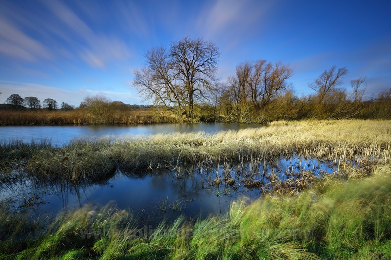 Windy Day at Butterby near Durham.    ref 6769 - County Durham