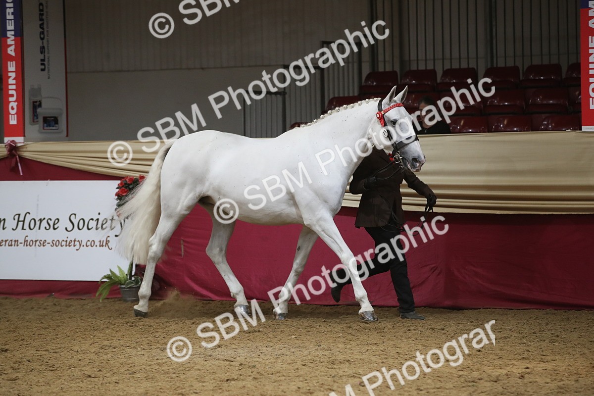 SBM_05484 - Class 9R - Regional IH Pre-Vet