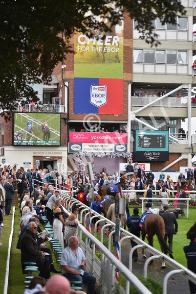 yr21082021r2-2 - Race 2 2.25pm Sky Bet Melrose Stakes