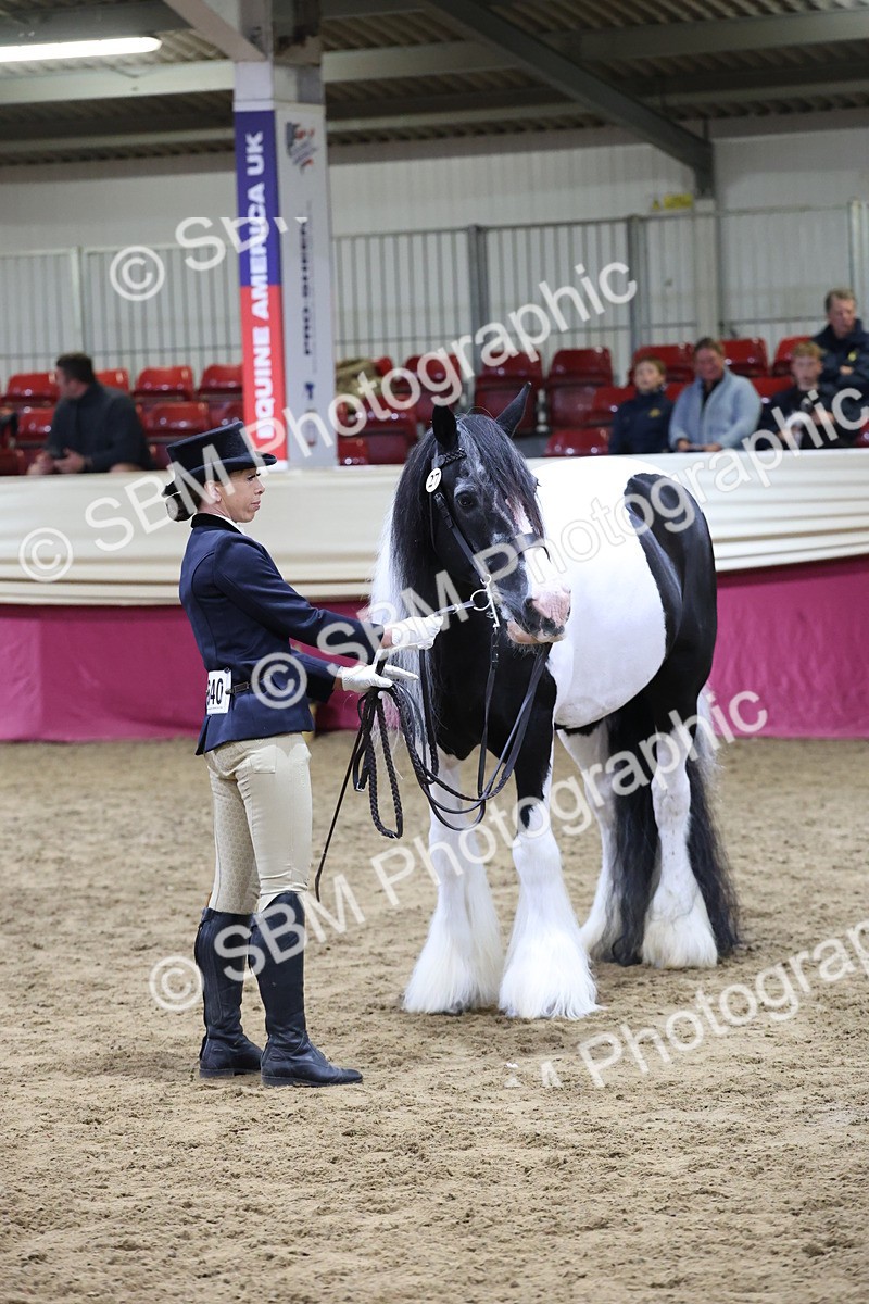 SBM_20448 - Class F - IH Small (148cm & Under)Champ