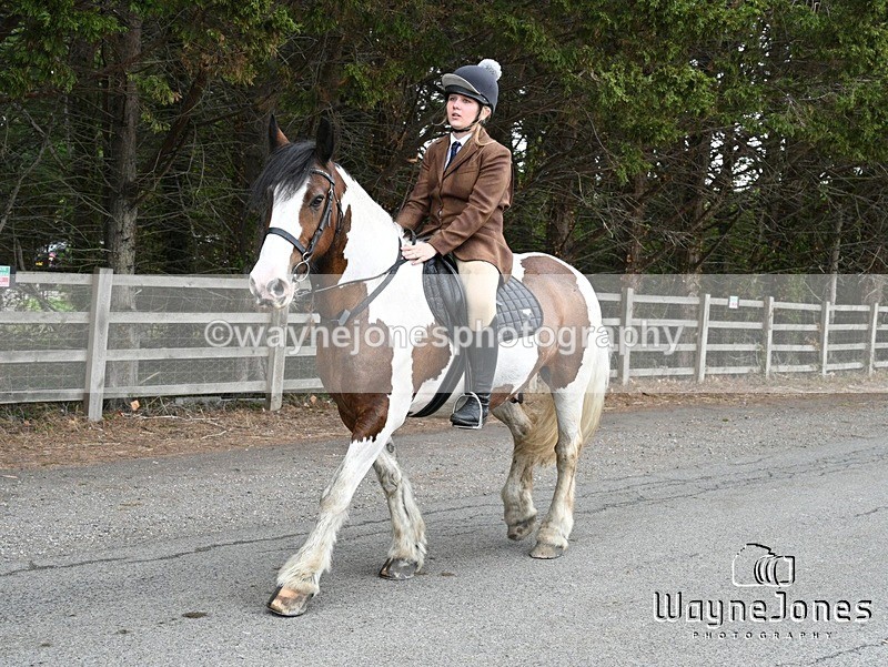 WJ7_1338 - Berks & Bucks Hound Exercise Blewbury 13-09-26