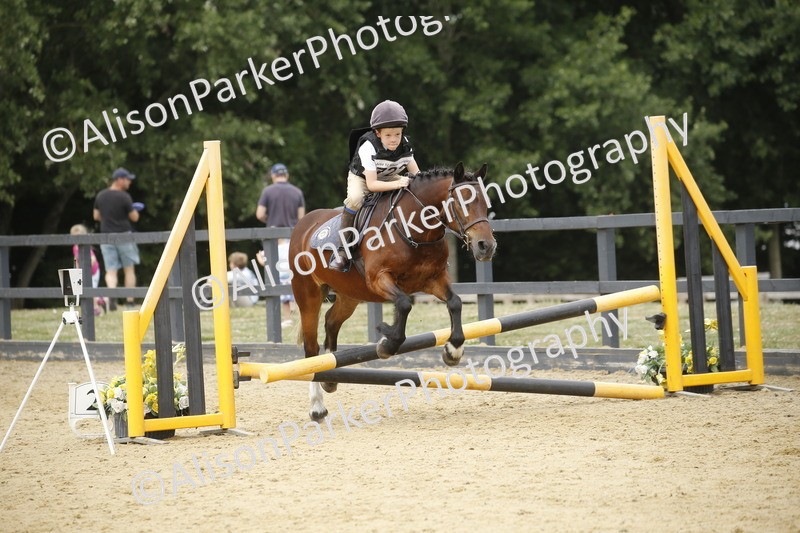 20250622-5993 - 60cm