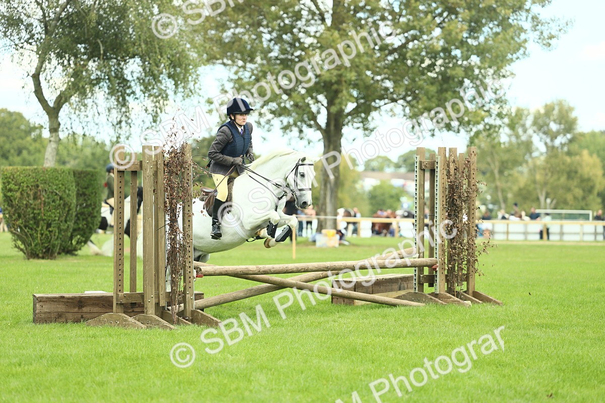 SBM_42789 - S30 - M&M Working hunter Pony
