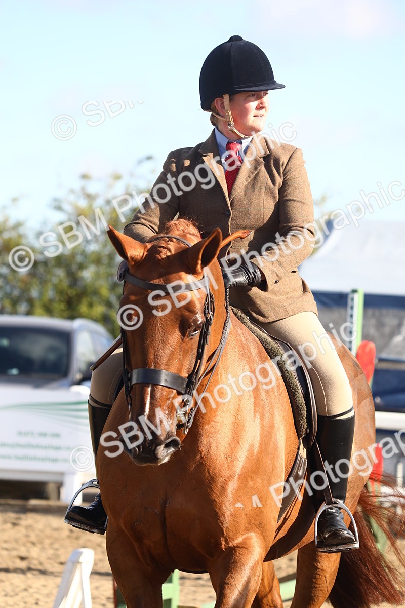 SBM_08598 - Class 502 - Riding Club Horse
