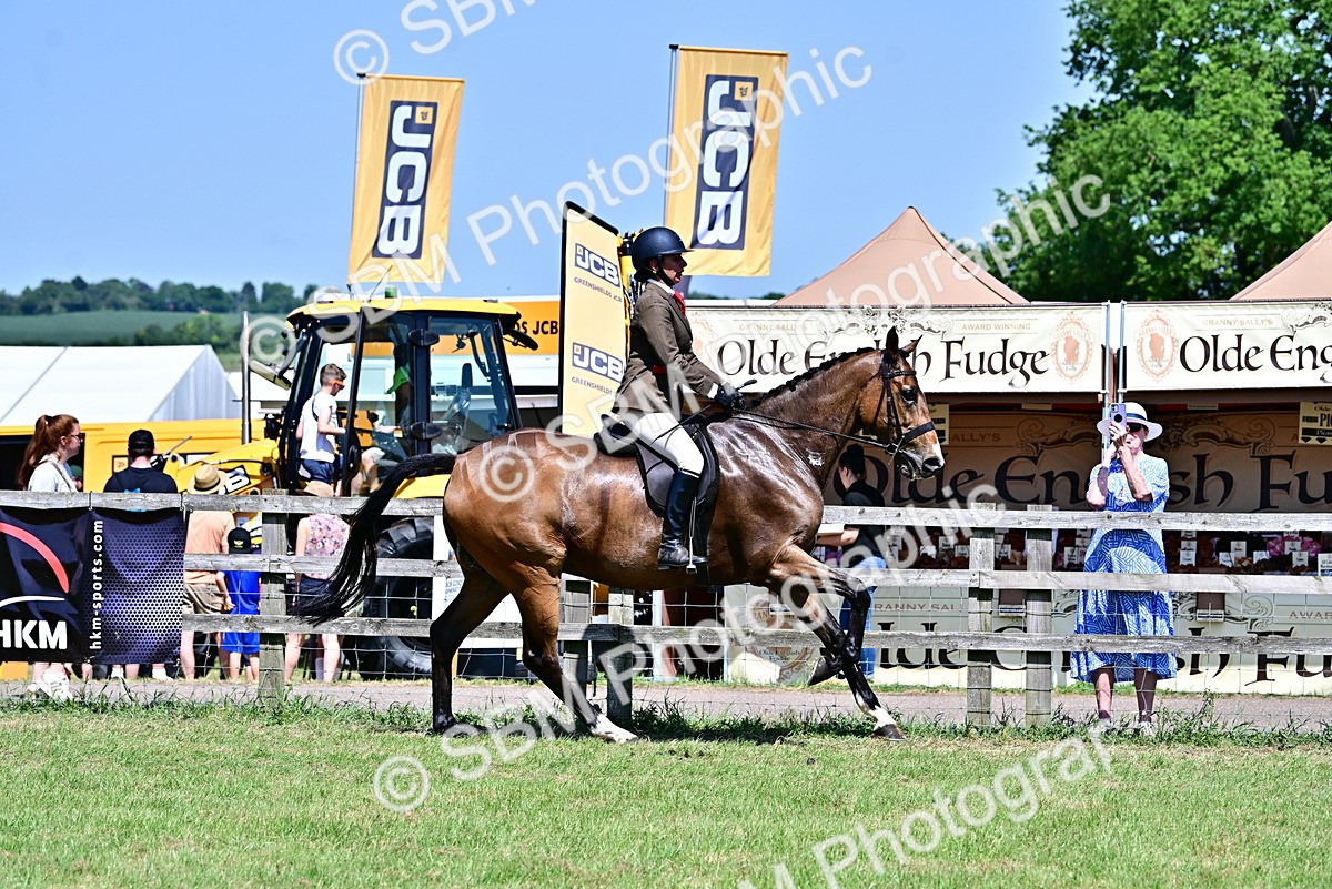 SBM_18134 - Class 99-100 - Retraining of Racehorses Ridden