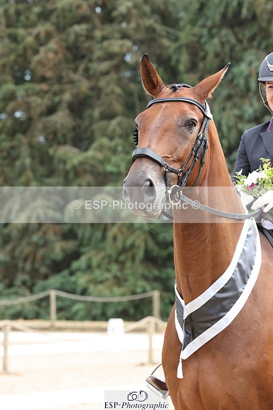 250809A-143146-03667 - PSG SILVER Presentations