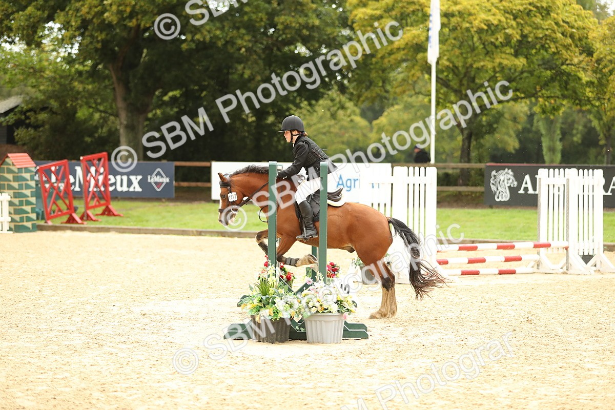 SBM_34260 - J60 Clear Round 50cm