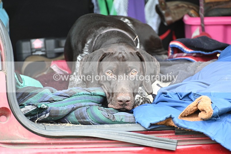 WJ6_4196 - Time at Jump 12:22 to 13:03