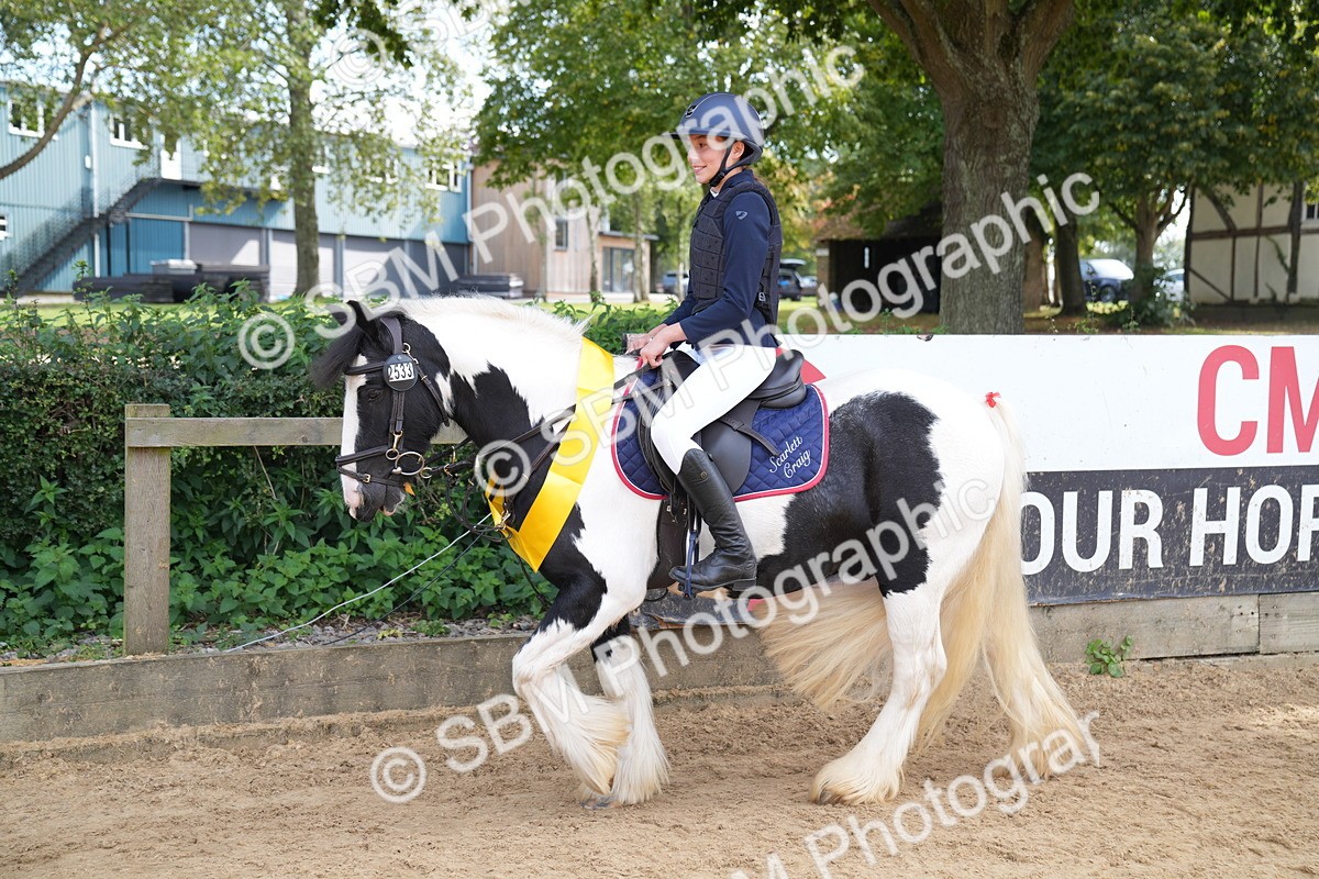 SBM_65888 - J2 - Mini Tour Junior Pony 30cm Championship