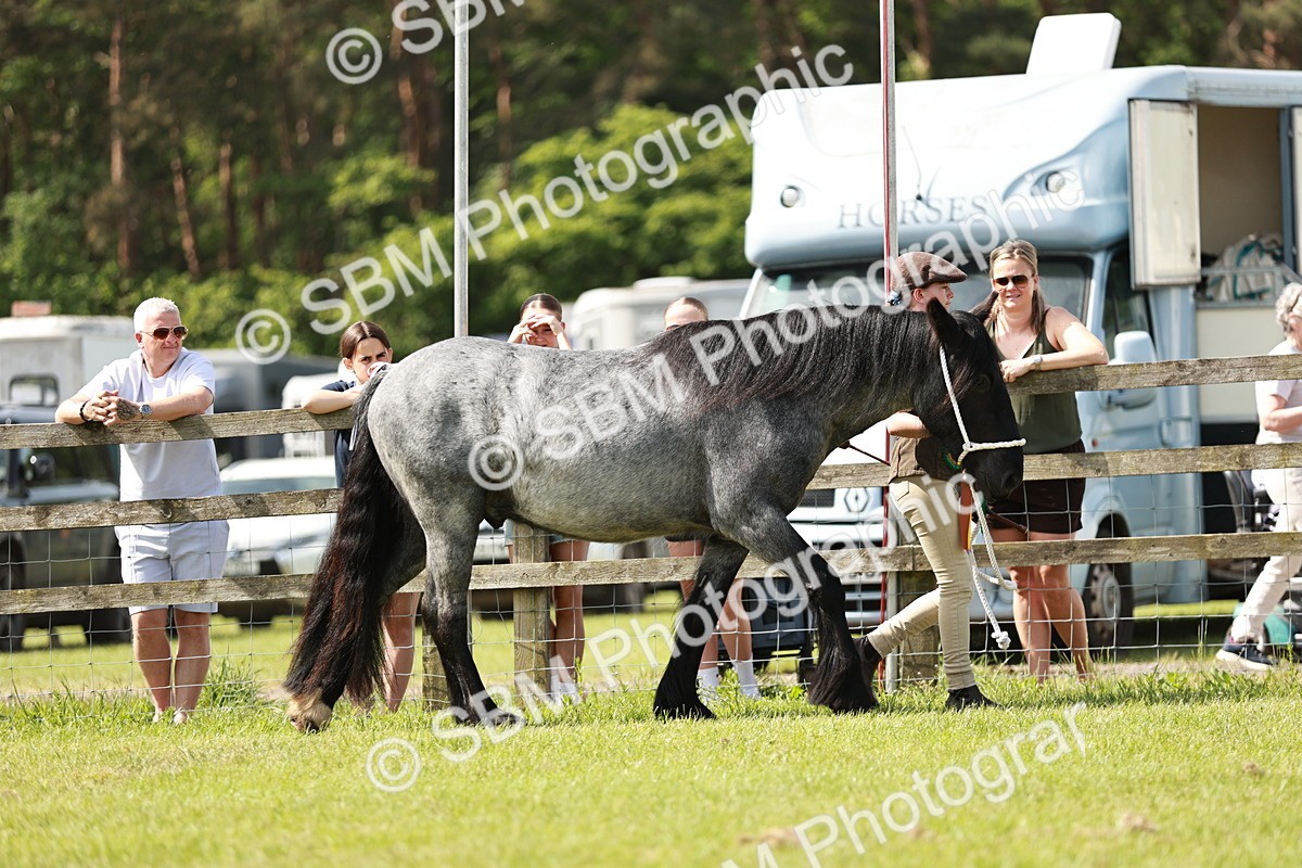 SBM_02483