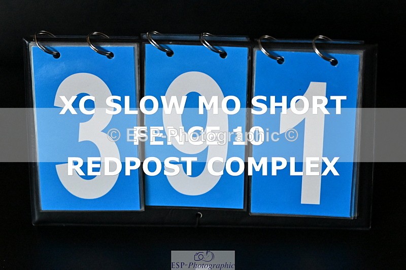 ESP_391 - E-391-Eva.Bryant