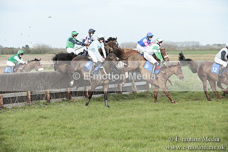 PtP 230319 434 - VWH Hunt Siddington Point-to-Point Racing 23/03/19