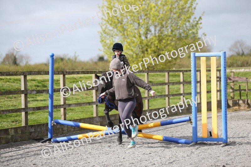 20260412-0121 - Show Jumping