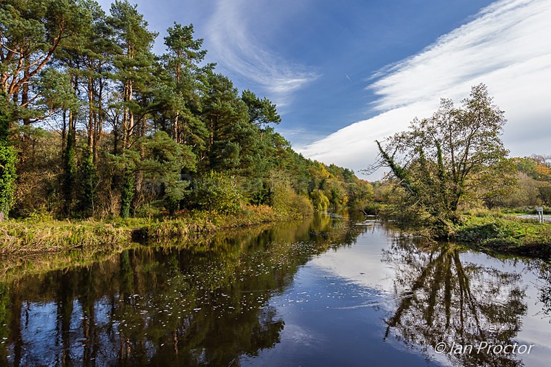 River Lagan at Moreland's Meadow, Lagan Valley. - County Antrim