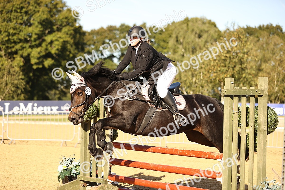 SBM_35176 - J38 - Senior 80cm Championship
