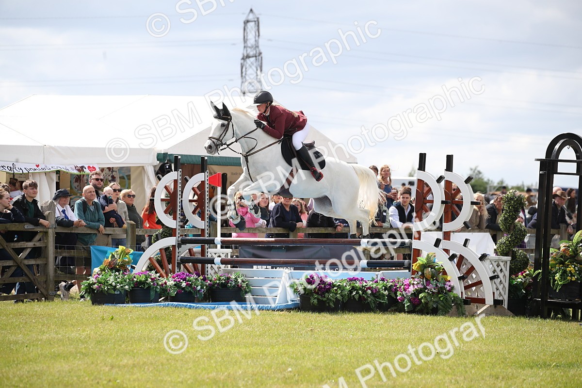SBM_17493 - Class 208 - Senior Foxhunter 1.20m Open