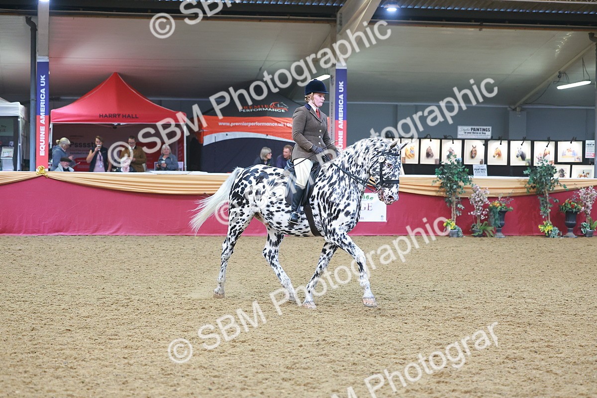 SBM_12504 - Class 103 - HOYS Veteran Qualifier - Ridden Pre Vet
