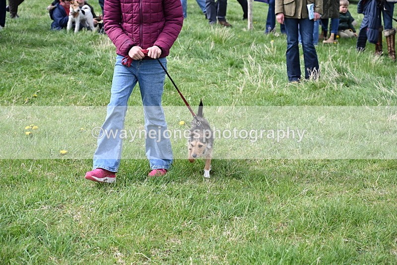 WJ6_8316 - Class 4 Prettiest Bitch