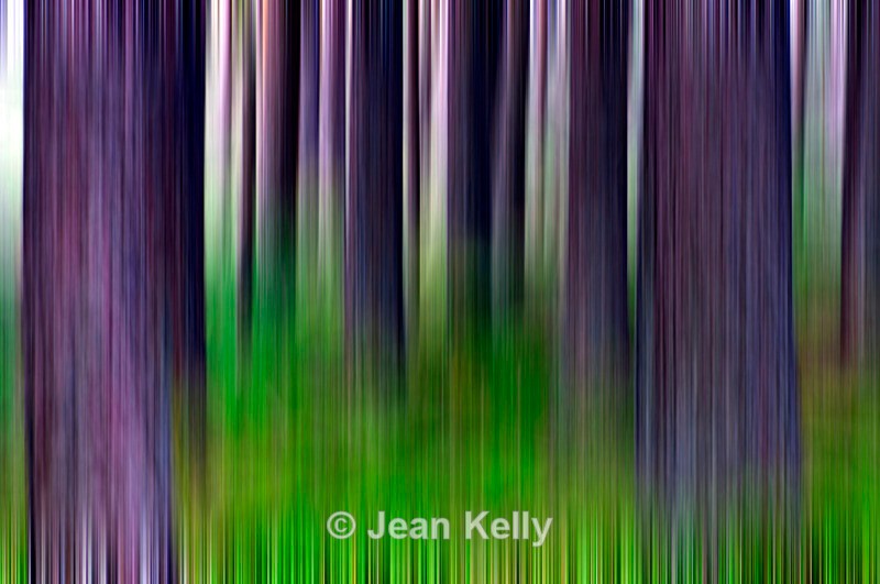 Tree - 0584 motion blur - Motion blur filter effect