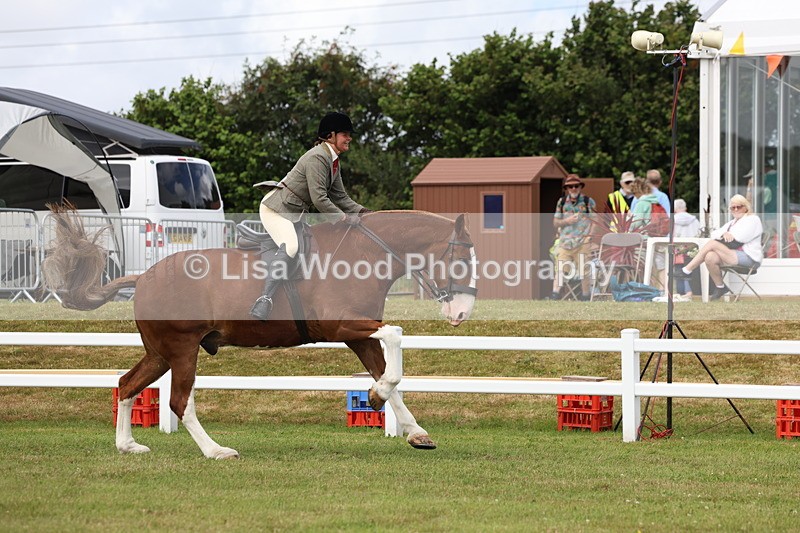 3E7A0295 - Class 6: Rising Star Maxi Cobs