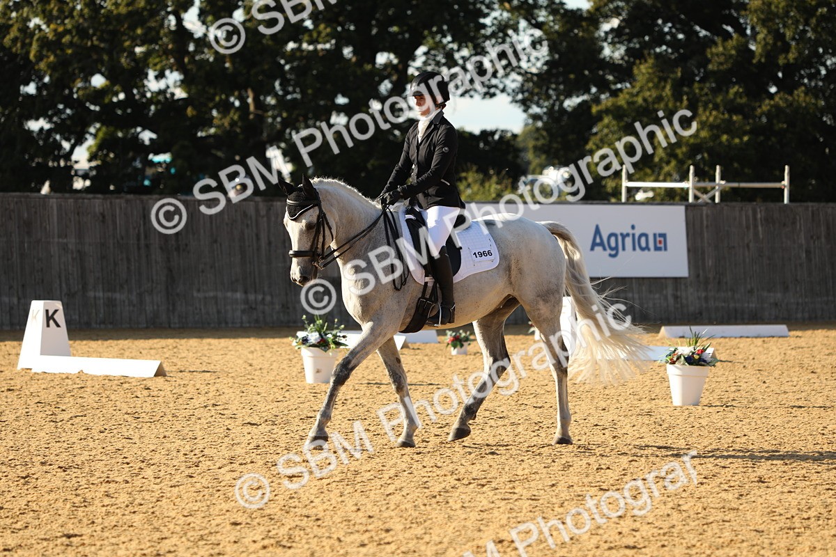 SBM_28603 - D20 - Grand Tour Championship - Elementary 44