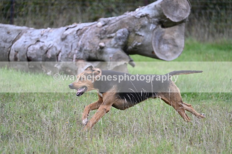 WJ7_3543 - Camera 1 Line 1