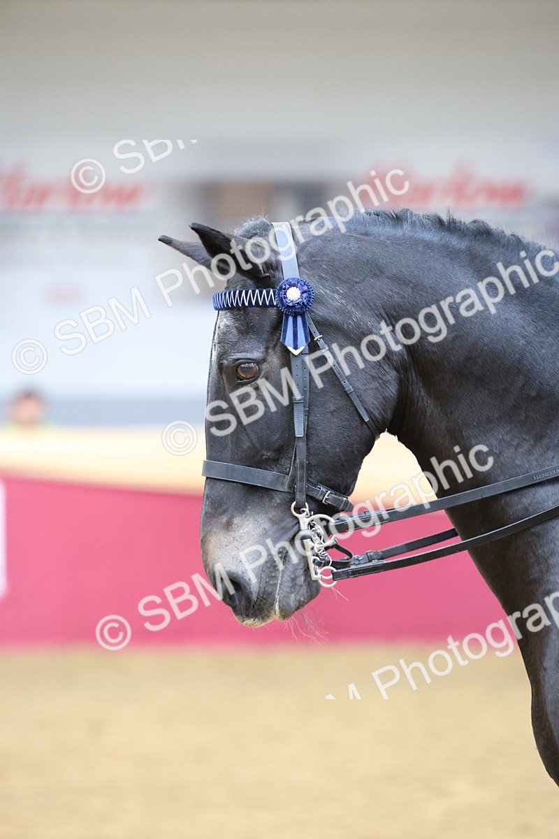 SBM_23605 - Class 904 - Supreme Final - Ridden Diamond