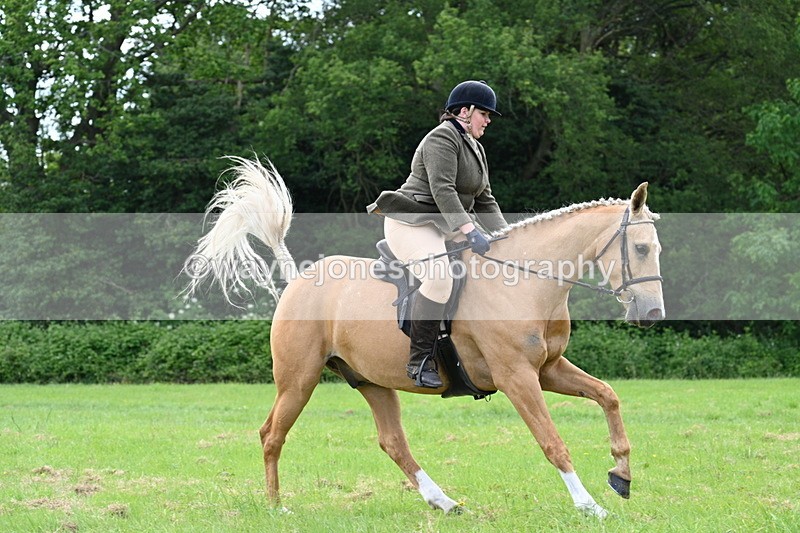 WJ7_2514 - Class 12A Coloured Class