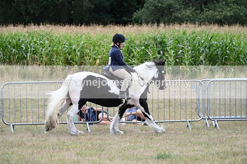 WJ7_5355 - Class 12 Ridden Cob