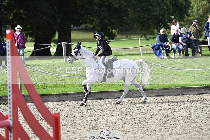 251005A-142903-04439 - Cls 09 Nov 80-85cm