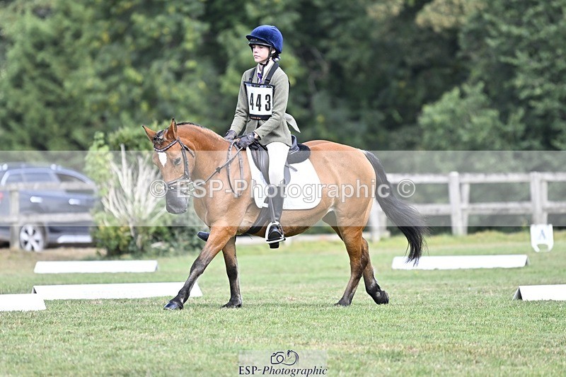 250821A-102936-14380 - DR 10.00 to 11.00