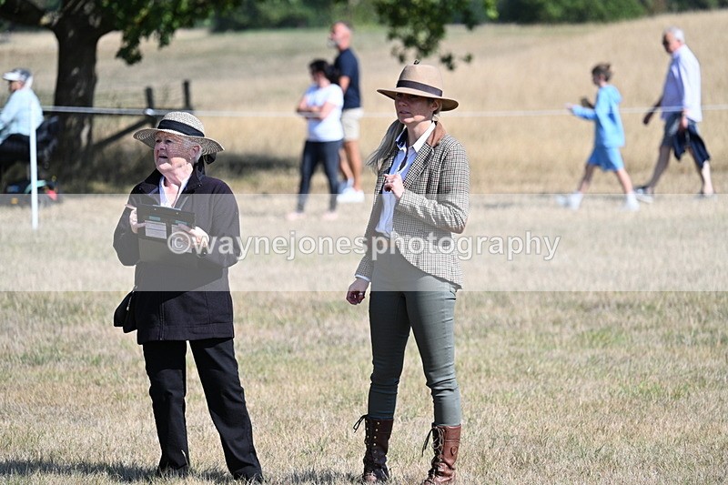 WJ7_3103 - Class 8 Ridden Tack & Turnout