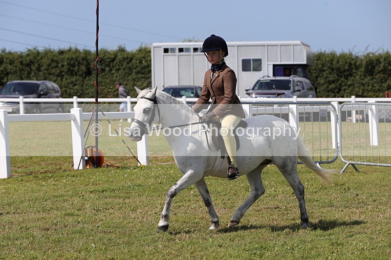 1X9A5437 - Class 37: NPS M&M First Ridden