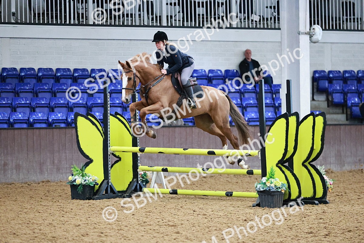 SBM_000388 - Class 2 - Senior British Novice 90cm